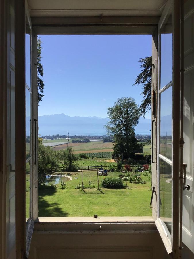 B&B Chateau De Denens Eksteriør billede
